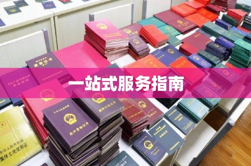 雨花台一站式服务指南