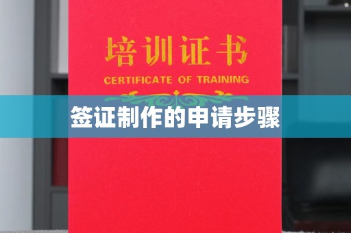 雨花台签证制作的申请步骤