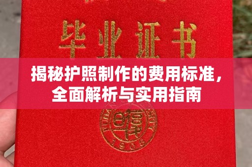 雨花台揭秘护照制作的费用标准，全面解析与实用指南