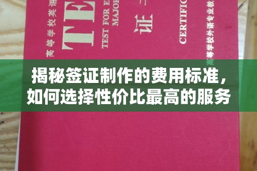 雨花台揭秘签证制作的费用标准，如何选择性价比最高的服务？