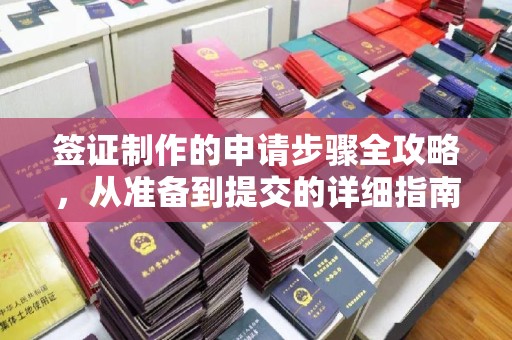 雨花台签证制作的申请步骤全攻略，从准备到提交的详细指南